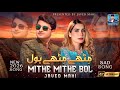 Mithe Mithe Bol Javed Mahi New Punjabi Sad Song Official Music Video 2026