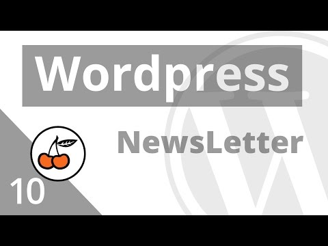 comment construire une newsletter