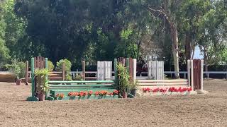 “Rip Tide” and Sadie Campbell ~ Mod Ch/Ad Hunters