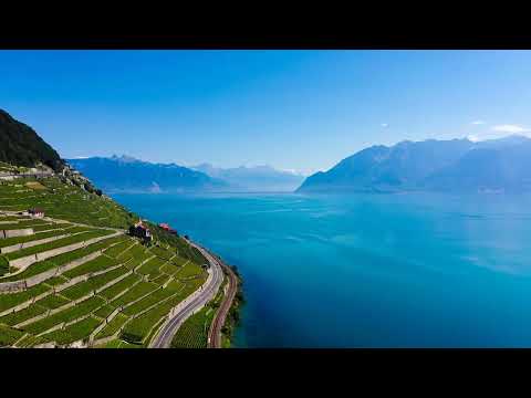 The Vineyards of Lavaux