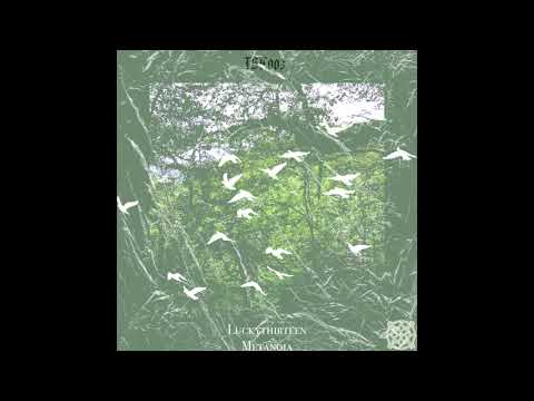 Luckythirteen - Blackbird [TSK005]
