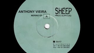 Anthony Vieira - Untitled ( Merino - B1 )