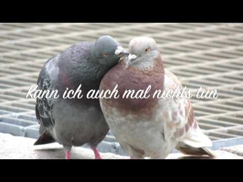 18. heilsame Liederabend in Elsdorf