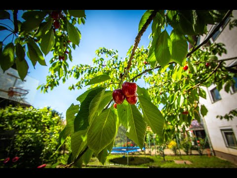 ELADVA - Bp. XVI.ker. csendes kertvárosi részén 3 szintes családi ház