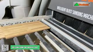 Máy Chà Nhám Bắn Cát Xả Sơn Lót WM-16PC2