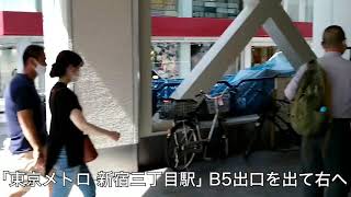 銀座カラー 新宿東口店の詳細 店舗情報 アクセスマップ 脱毛サロン クリニック比較ナビ 銀座カラー 新宿東口店の詳細 店舗情報 アクセスマップ 脱毛サロン クリニック比較ナビ