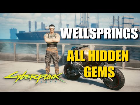 Cyberpunk 2077 - Wellsprings - All Hidden Gems