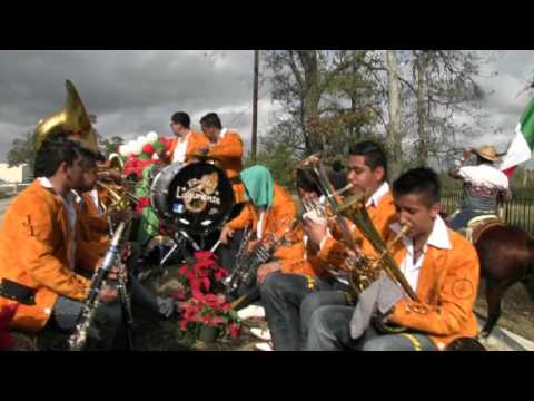 banda lagunense en la cabalgata guadalupana 2012 en houston tx