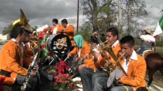 banda lagunense en la cabalgata guadalupana 2012 en houston tx