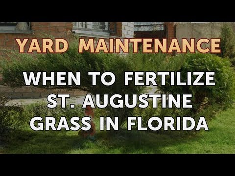 download lagu mp3 mp4 When Should I Fertilize My Lawn In Central Florida, download lagu When Should I Fertilize My Lawn In Central Florida gratis, unduh video klip When Should I Fertilize My Lawn In Central Florida