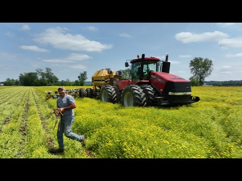 Live To Farm EP 01