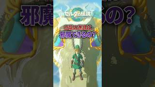 白龍の進路を邪魔することはできる？ #ゼルダの伝説 #ティアキン #totk