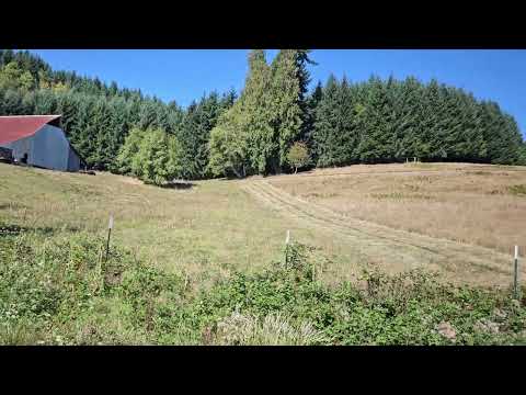 Future pig farm in Ariel, WA
