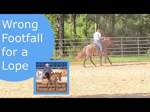 She does not know how to lope.