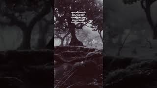 Download lagu tanpa hadirmu #cinta #bijak #hikmah #quotes #fypシ #shorts #wisdom #sufi #puisicinta mp3 Download lagu tanpa hadirmu #cinta #bijak #hikmah #quotes #fypシ #shorts #wisdom #sufi #puisicinta mp3