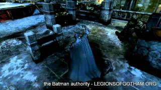 Batman: Arkham City - Arkham City Skins Pack