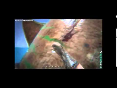 Solo taming a Megalodon