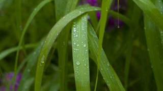 Frank Boeijen &quot;Zonder Worden&quot;.....