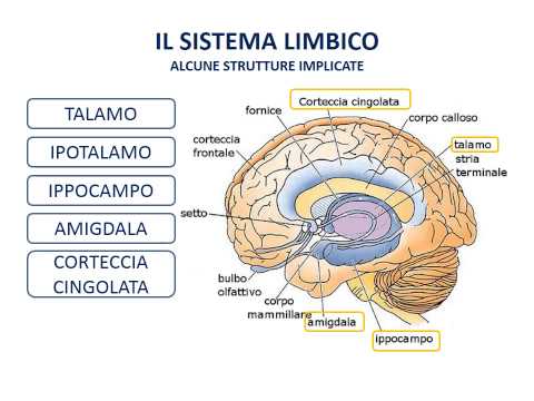 Clistere per il mal di schiena Dolore al gomito e il trattamento di rimedi popolari