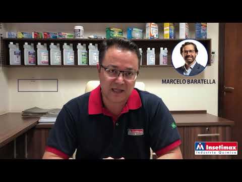 Live Um Novo Olhar Sobre Vendas