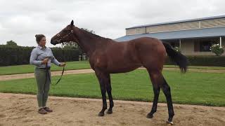 LOT 156 Time Test - Luscious Legs