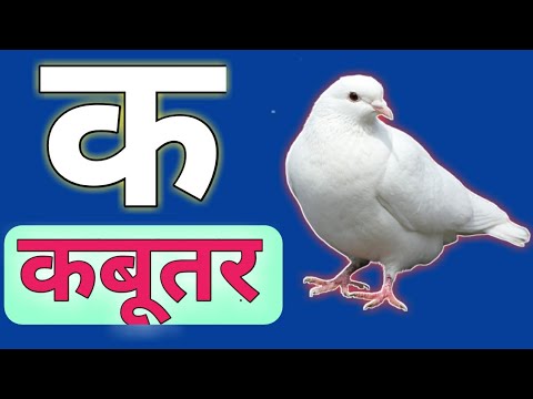 download lagu mp3 mp4 K Se, download lagu K Se gratis, unduh video klip K Se