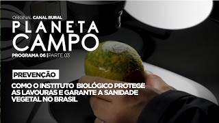 Miniatura do vídeo