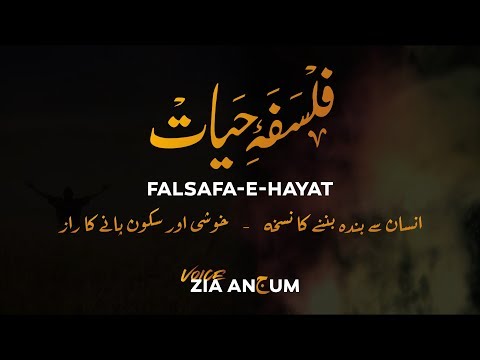 Falsafa e Hayat | Khushi or Sukoon Ka Raaz || Life Changing Urdu Story || Zia Anjum