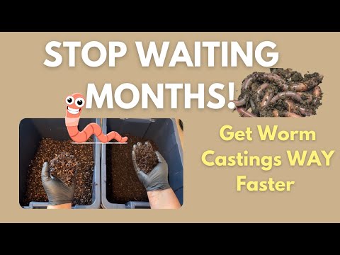 Part 1 How I Make Precompost for Worm Bins (Get Worm Castings WAY Faster!)  #vermicomposting