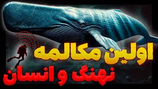 چگونه چت جی‌پی‌تی زبان نهنگ‌ها را ترجمه می‌کند؟
