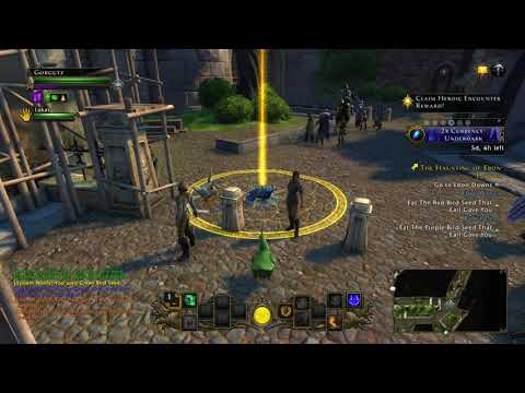 Neverwinter | Bird Buddies