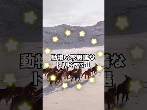 蛾の尾がコウモリソナーを混乱させる