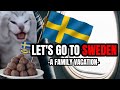 CAT MEMES: LET'S GO TO SWEDEN