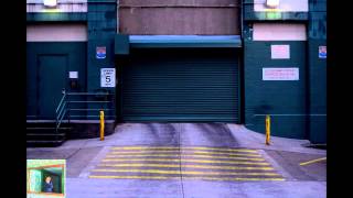 Ty Segall ● The Picture