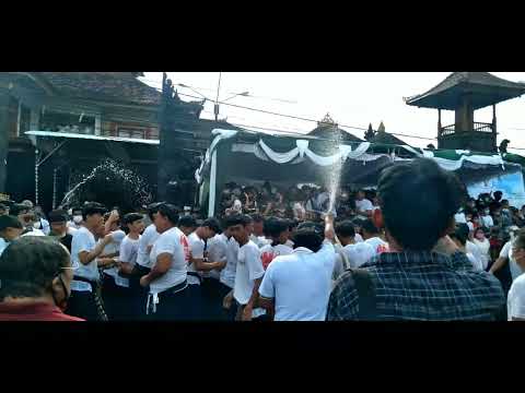 OMED-OMEDAN 2022 || Bali Kissing Festival