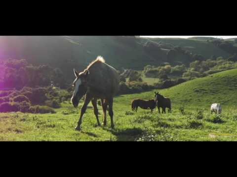 Mount Alfonso Ranch | Solano County, California