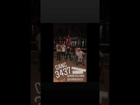 Arab Falcon ft. Yemen Cheese "Cokeboy Freestyle" صقر العرب و يمن شيس إرتجال هيني هون