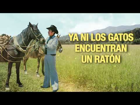 Rafael Buendía - La Situación (Letra Oficial)