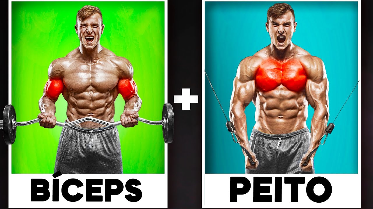 COMPLETE BICEPS and CHEST Workout Sheet (Exercises + Series)