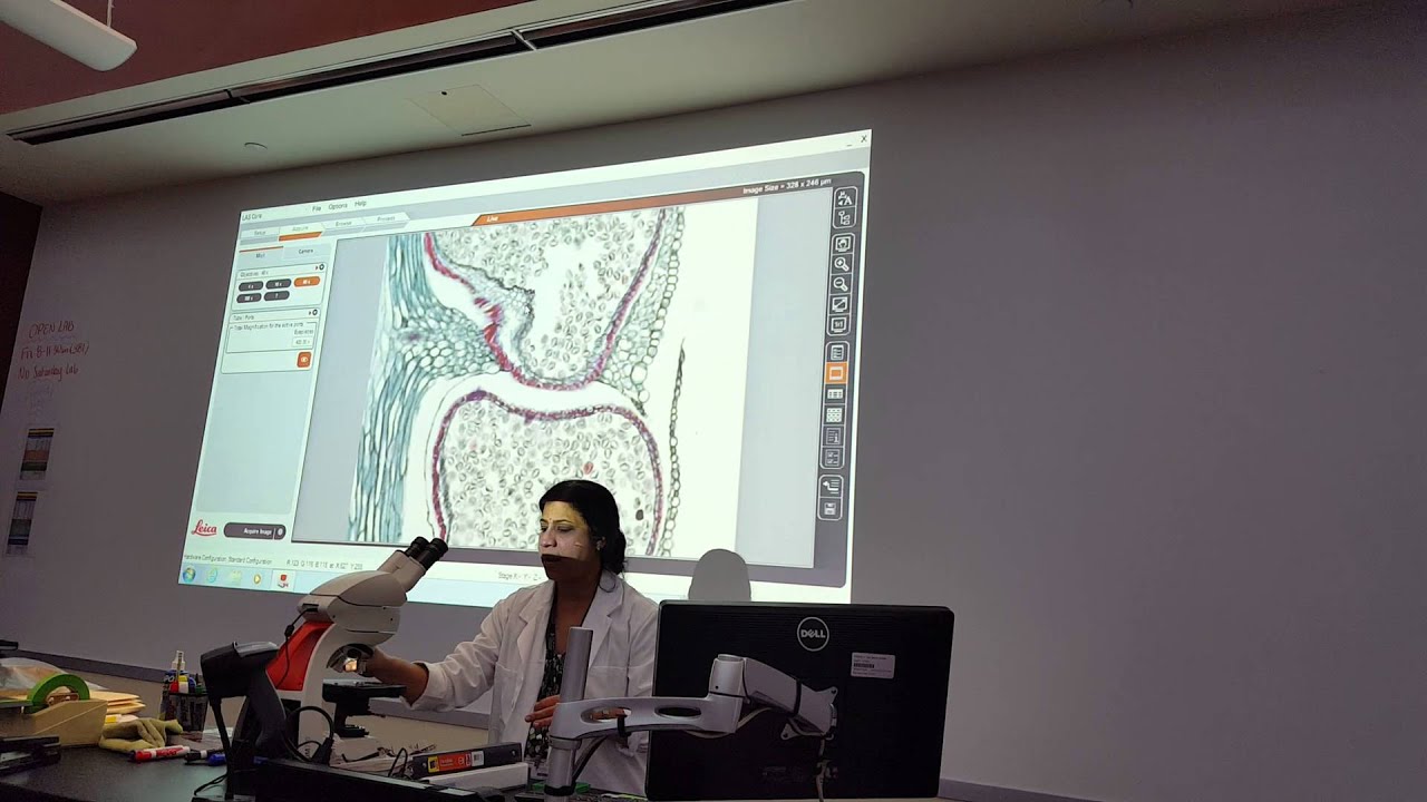 Biology Lab Practical #2 Review