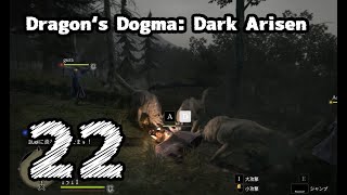 #22【Dragon's Dogma: Dark Arisen】いつもかじられるんだけど【左腕のボスぬこ】