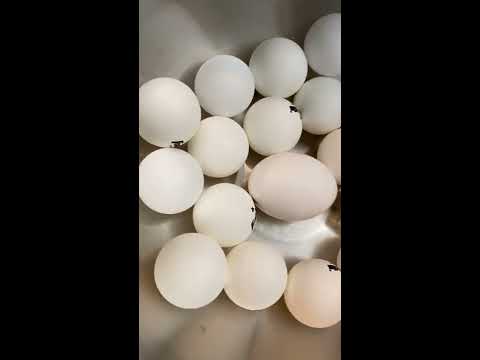 PING PONG EGG CHALLENGE!!!