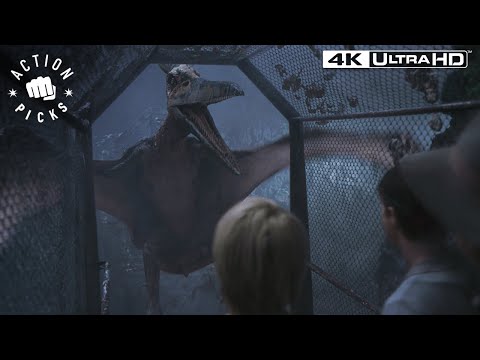 Eric’s Terrifying Abduction by Pteranodons | Jurassic Park III