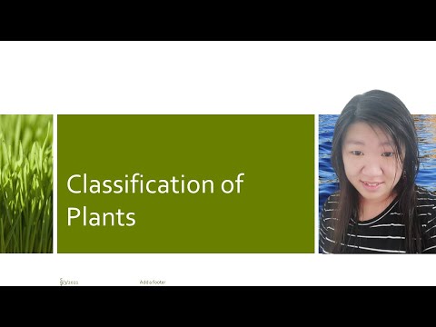 [DLP] [Science F2] Chapter 1.2 (B) Classification of Plants #PT3 #DLP #KSSM