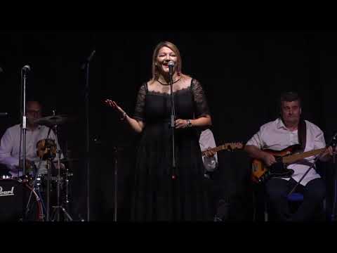 Krpica i Pavkovic koncert u Bogaticu