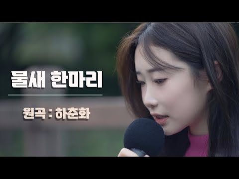 물새 한마리-하춘화 / covered by.정서주