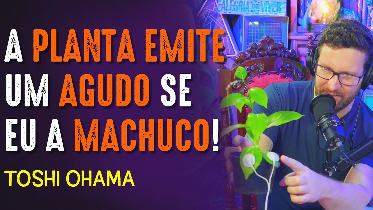 EQUIPAMENTO ESCUTA uma PLANTA ao VIVO!!