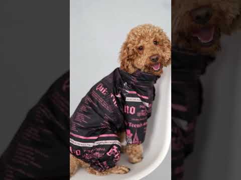 Дождевик комбинезон для собак из плащевки со скрытым капюшоном с кнопками на животе водоотталкивающий - фото 1 - id-p2076254172