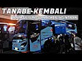 TANABE COME BACK ️ TANTE NAKAL BERDUIT AKHIR NYA SEMBUH KEMBALI KE LINTASAN KARPET HITAM
