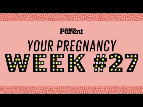 Your pregnancy: 27 weeks